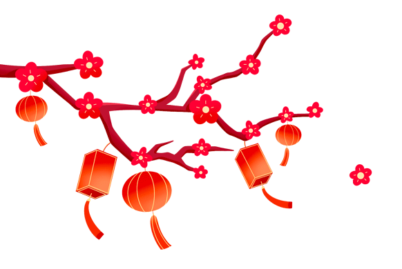 20250120114630_1803