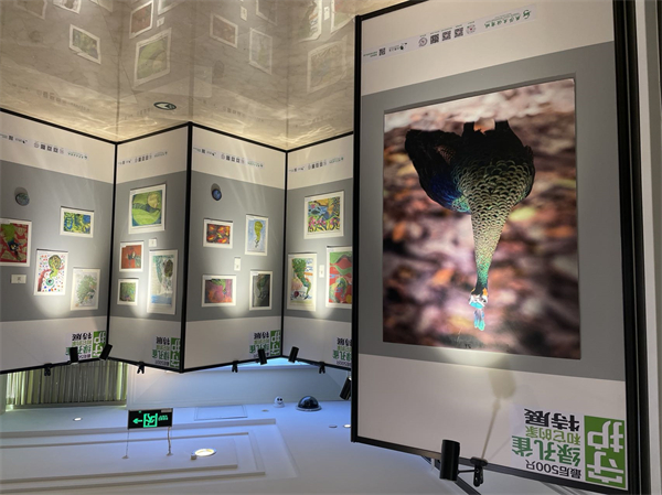 PG电子·仿照器(试玩游戏)官方网站