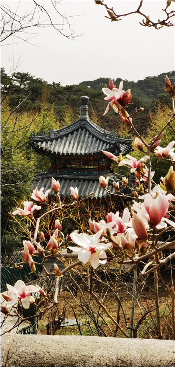 PG电子·仿照器(试玩游戏)官方网站