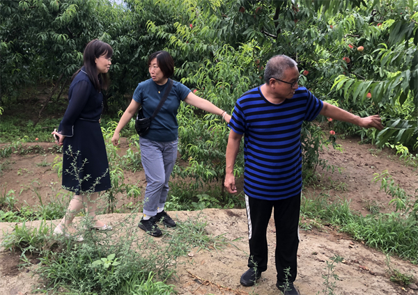 PG电子·仿照器(试玩游戏)官方网站